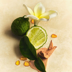 Mini Hair & Body Mist B3